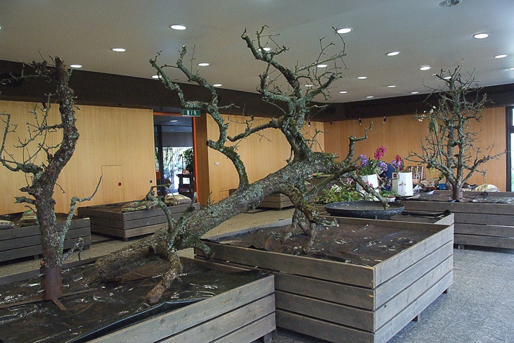 2014_0922Orchideentage0015