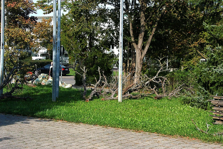 2014_0922Orchideentage0022