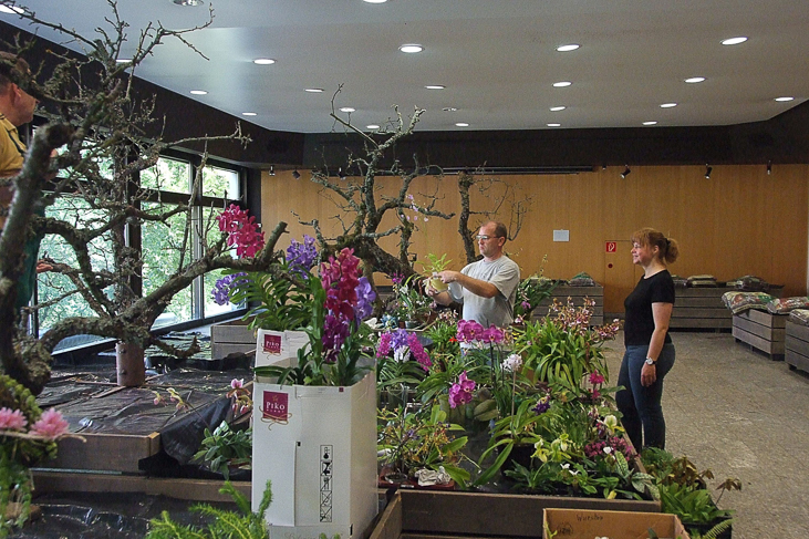 2014_0922Orchideentage0026