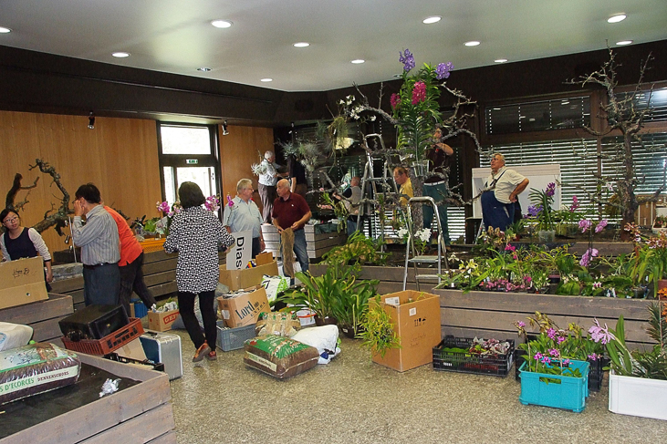 2014_0922Orchideentage0031