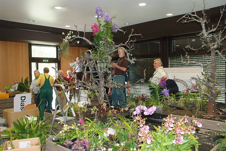 2014_0922Orchideentage0032