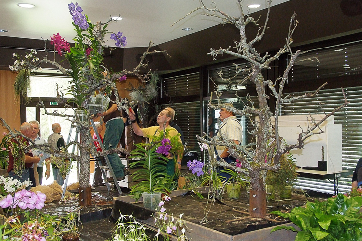 2014_0922Orchideentage0033