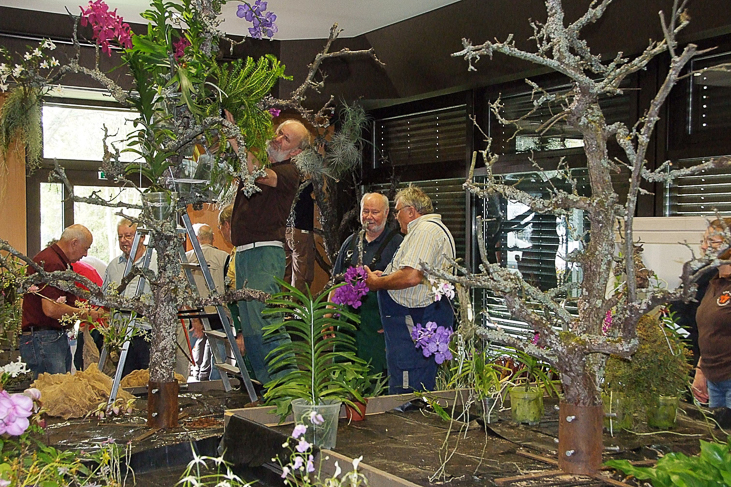 2014_0922Orchideentage0038