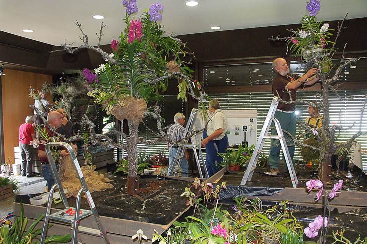 2014_0922Orchideentage0041