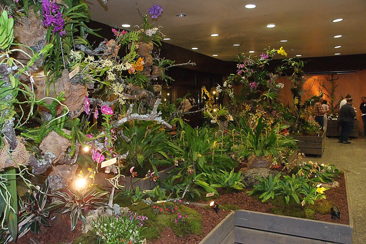 2014_0922Orchideentage0076