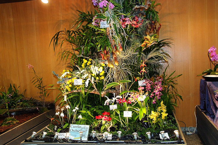 2014_0922Orchideentage0078