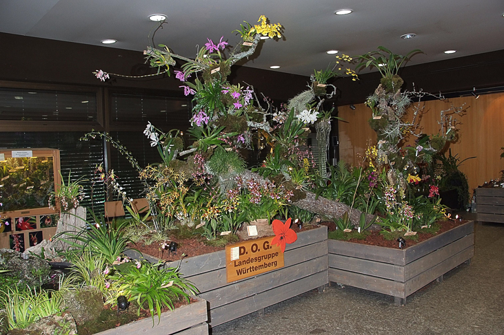 2014_0922Orchideentage0177