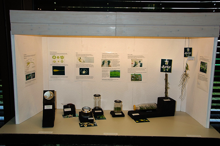 2014_0922Orchideentage0193