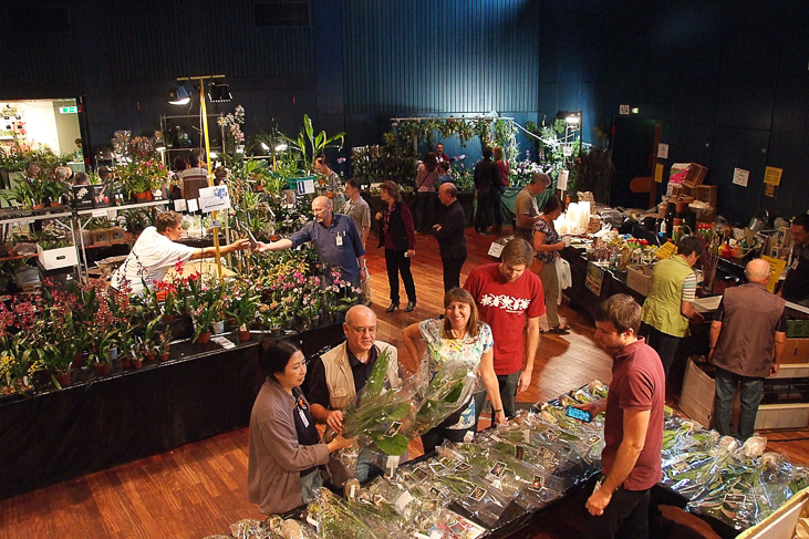 2014_0922Orchideentage0341